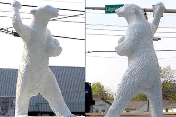 Polar Bear throwing Snows in Edgehill. Edgehill Tennessee. Reliant Realty